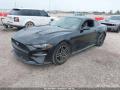 Ford Mustang 6 поколение S550 [рестайлинг] 2019г. 2.3 л. - фото №2