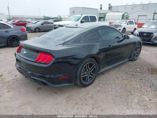 Ford Mustang 6 поколение S550 [рестайлинг] 2019г. 2.3 л. - фото №3