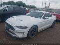 Ford Mustang 6 поколение S550 [рестайлинг] 2020г. 2.3 л. - фото №2
