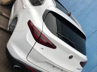 Alfa Romeo Stelvio 1 поколение 2018г. 2.0 л. - фото №1