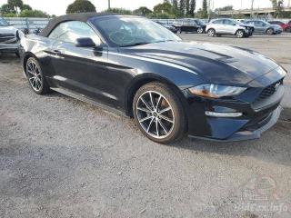 Ford Mustang 6 поколение S550 [рестайлинг] 2019г. 2.3 л. - фото №1