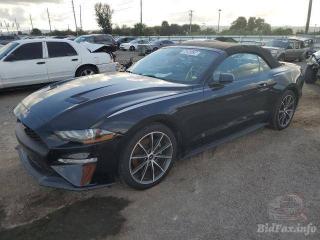 Ford Mustang 6 поколение S550 [рестайлинг] 2019г. 2.3 л. - фото №2