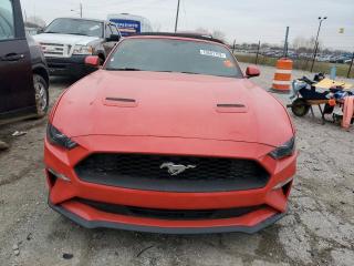 Ford Mustang 6 поколение S550 [рестайлинг] 2020г. - фото №3