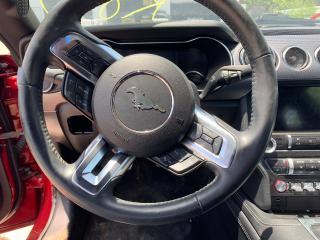 Ford Mustang 6 поколение S550 [рестайлинг] 2020г. 2.3 л. - фото №16