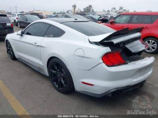 Ford Mustang 6 поколение S550 [рестайлинг] 2019г. 2.3 л. - фото №3