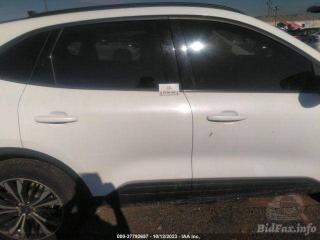 Ford Escape 4 поколение CX482 2021г. 1.5 л. - фото №5