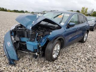 Ford Escape 4 поколение CX482 2020г. 1.5 л. - фото №4