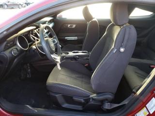 Ford Mustang 6 поколение S550 2017г. 2.3 л. - фото №9