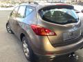 E6210-1AN0A Амортизатор задний (стойка) Nissan Murano (Z51) 2009г. - фото №3