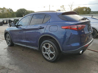 Alfa Romeo Stelvio 1 поколение 2018г. 2.0 л. - фото №2