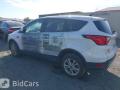 Ford Escape 3 поколение C520 [рестайлинг] 2019г. 1.5 л. - фото №1