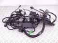 12517810118, 7806081, 12517806081, 7810118 Проводка двигателя BMW X5-series (E70) 2007г. - фото №7