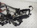 12517810118, 7806081, 12517806081, 7810118 Проводка двигателя BMW X5-series (E70) 2008г. - фото №2