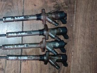 Форсунка Peugeot 406 1999-2004 2.2 л. дизель купить б/у в Минске ...