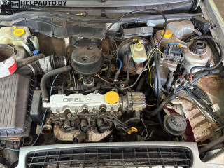 Opel Astra F [рестайлинг] 1997г. 1.6 л., X 16 SZR - фото №6