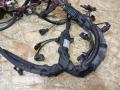 738042106, 12518508106, 8508106, 12518508103, 8508103 проводка двигателя BMW X6 E71 2012г. - фото №6