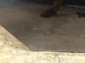 41007298526, 7298526, 7298220, 41527298220 дверь задняя правая BMW 3 F30/F31 [рестайлинг] 2017г. - фото №7